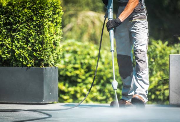 Animal Enclosure Cleaning in Osseo, MN