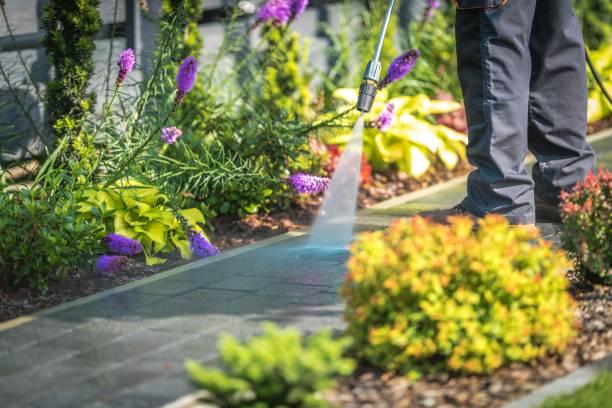  Osseo, MN Pressure Washing Pros