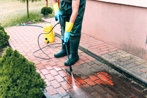 Best Fence Cleaning  in Osseo, MN